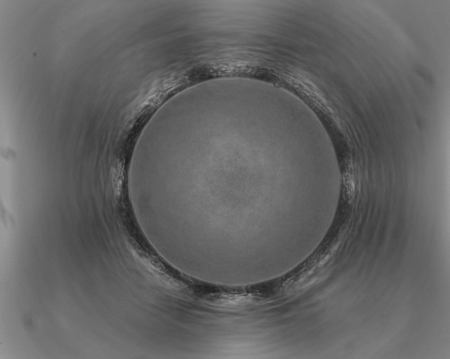 X0000091100458200708061423