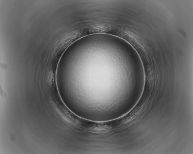 X0000091100459200708061423