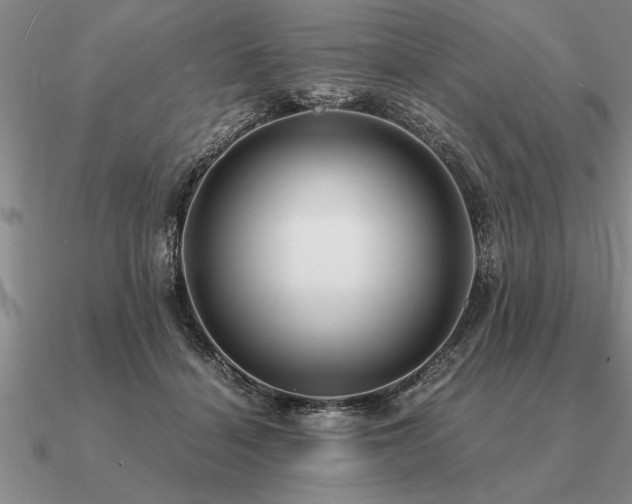 X0000091100460200708061423