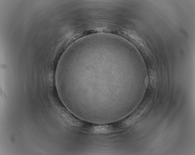 X0000091100461200708061423