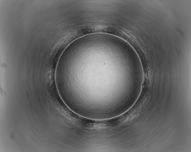 X0000091100462200708061423