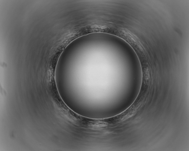 X0000091100463200708061423