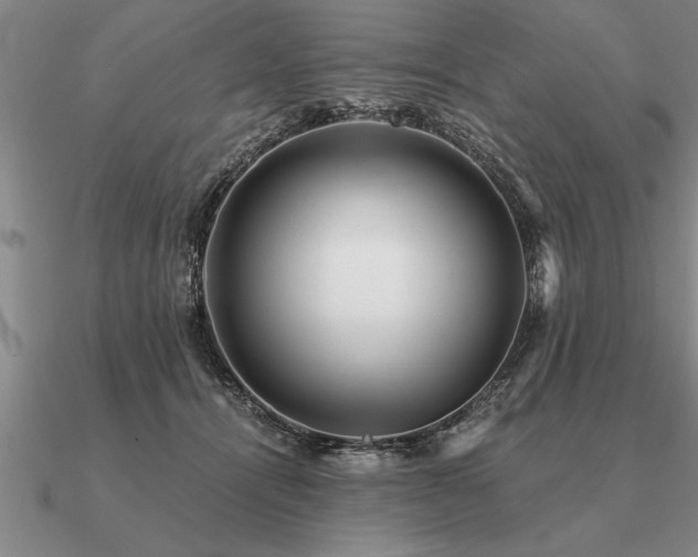 X0000091100464200708061423