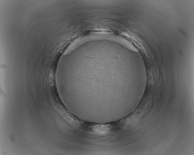 X0000091100465200708061423