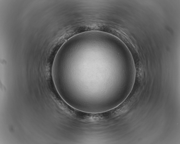 X0000091100466200708061423