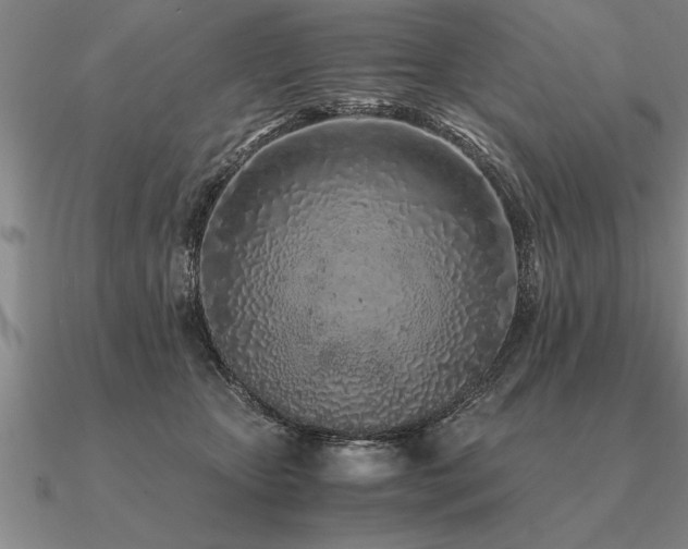 X0000091100467200708061423