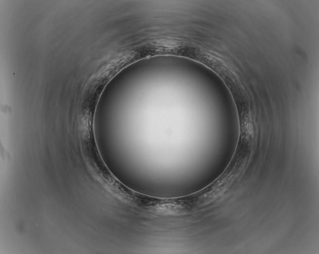 X0000091100468200708061423