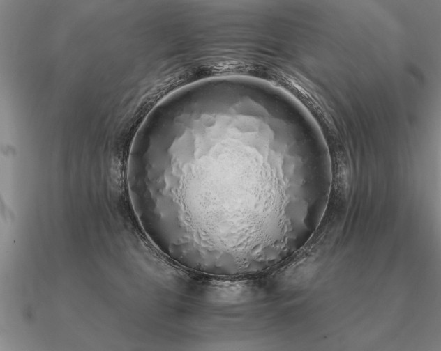 X0000091100469200708061423