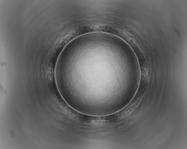 X0000091100470200708061423