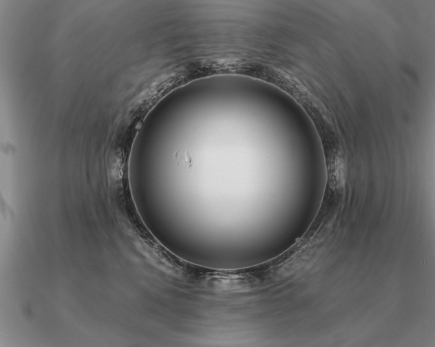 X0000091100472200708061423