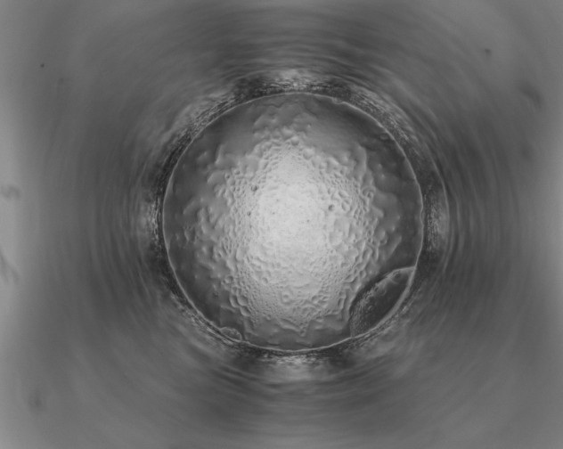 X0000091100473200708061423