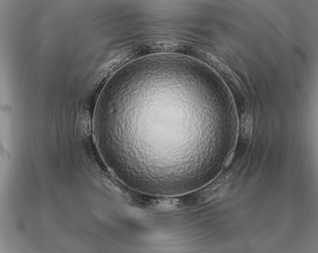 X0000091100474200708061423