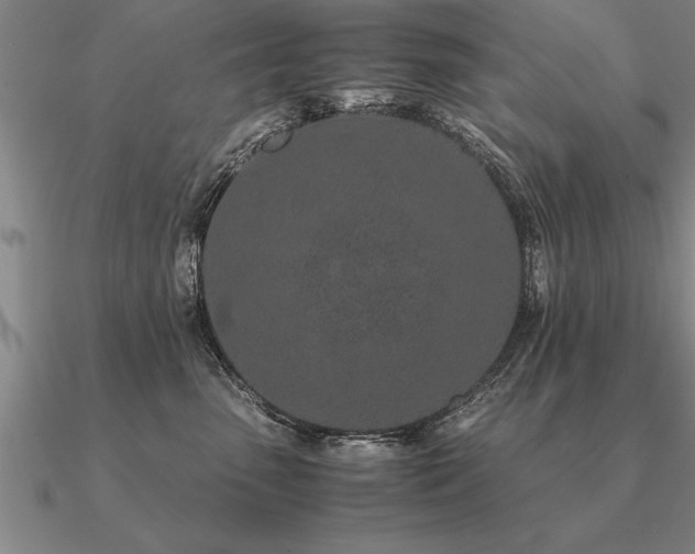 X0000091100475200708061423