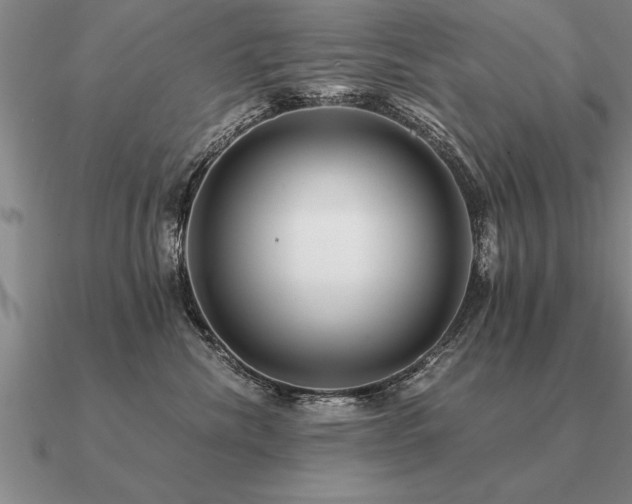 X0000091100476200708061423