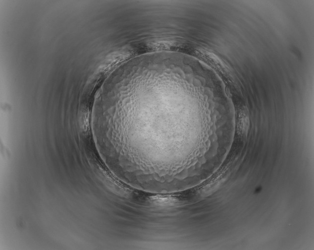 X0000091100477200708061423