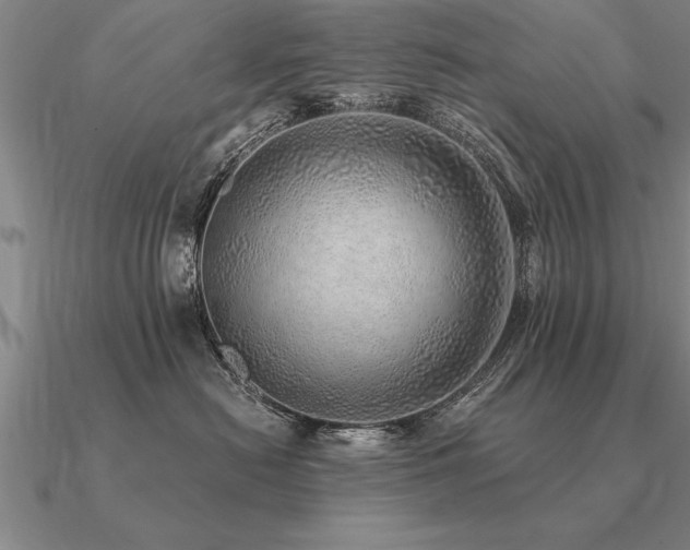 X0000091100478200708061423