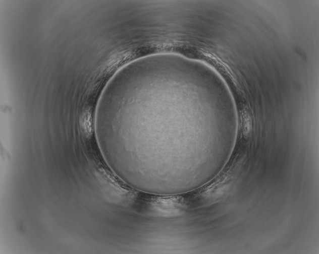 X0000091100479200708061423