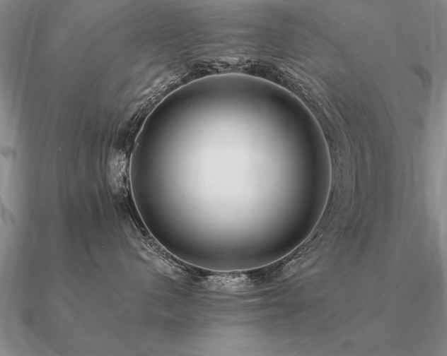 X0000091100480200708061423