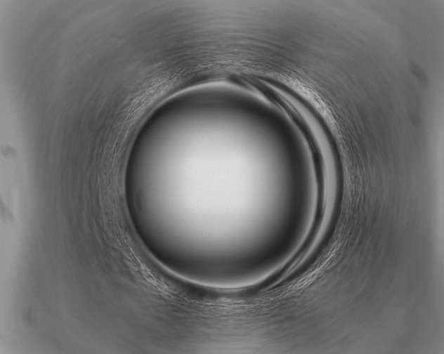 X0000091100481200708061423