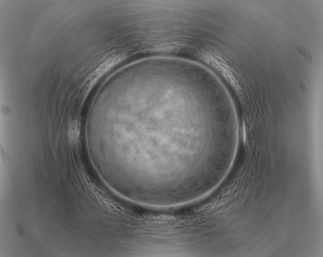 X0000091100483200708061423