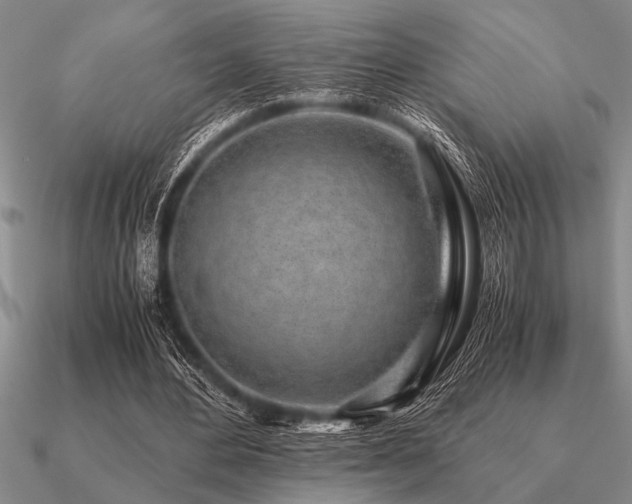 X0000091100484200708061423