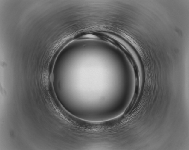 X0000091100485200708061423