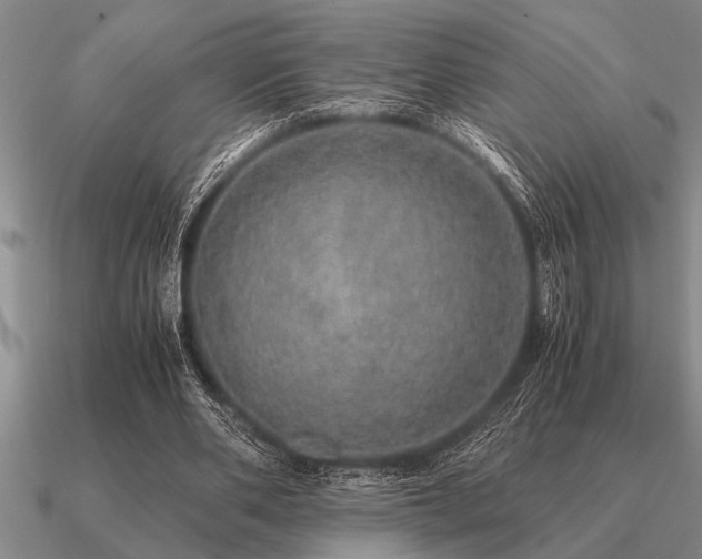 X0000091100486200708061423