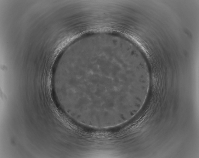 X0000091100487200708061423