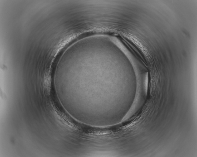 X0000091100488200708061423