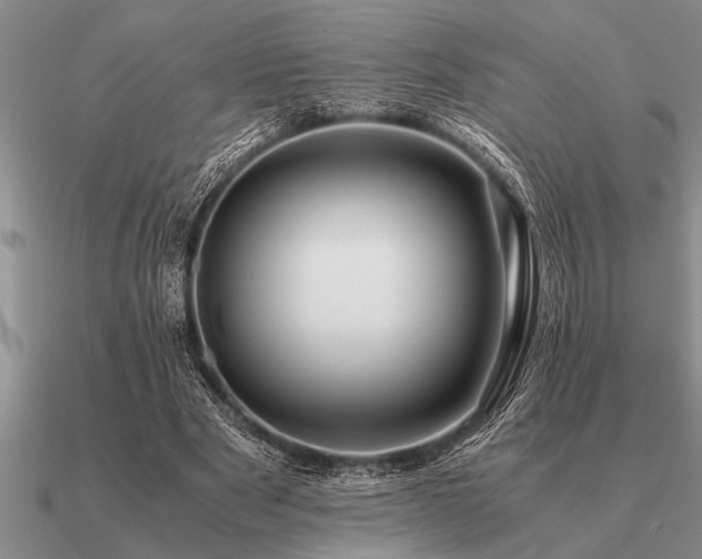 X0000091100489200708061423