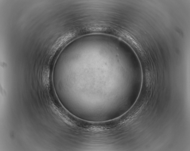 X0000091100490200708061423