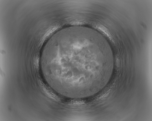 X0000091100491200708061423