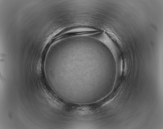 X0000091100492200708061423