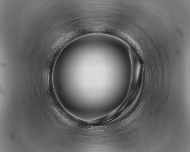 X0000091100493200708061423