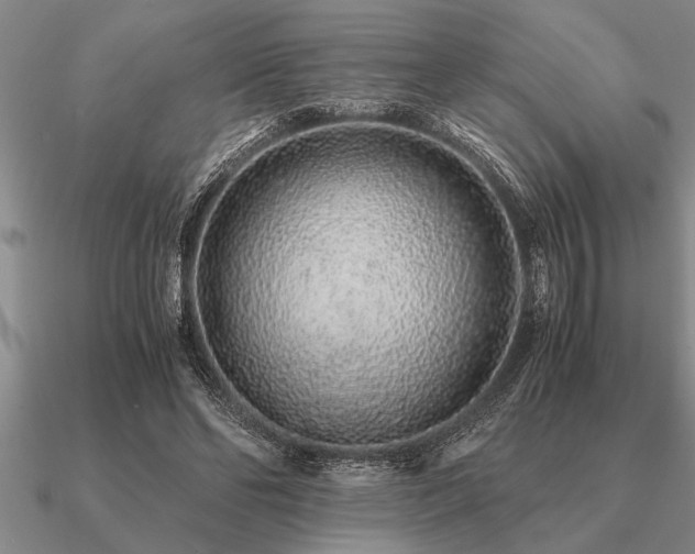 X0000091100494200708061423