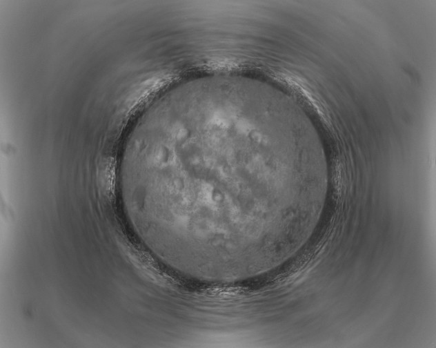 X0000091100495200708061423