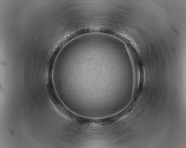 X0000091100496200708061423