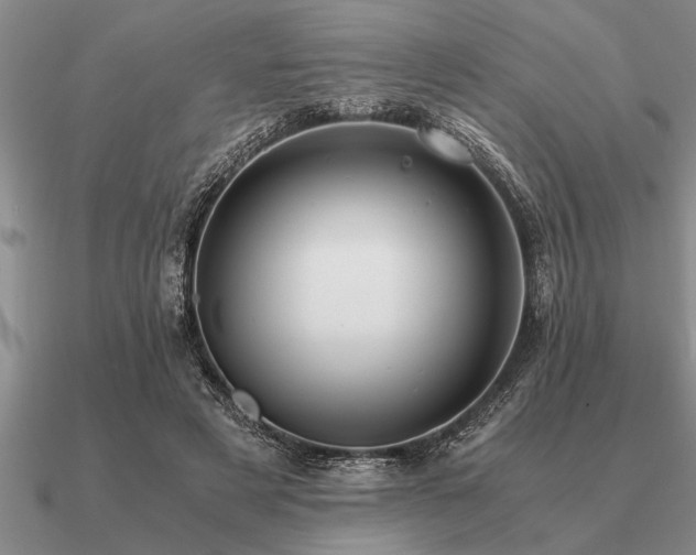 X0000091100497200708061423