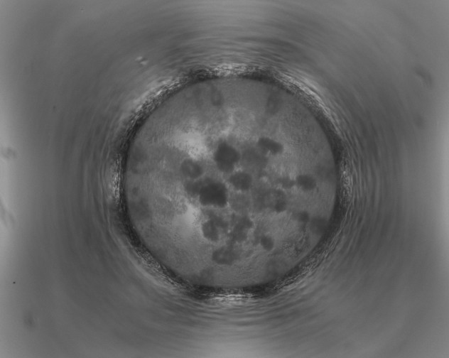 X0000091100499200708061423