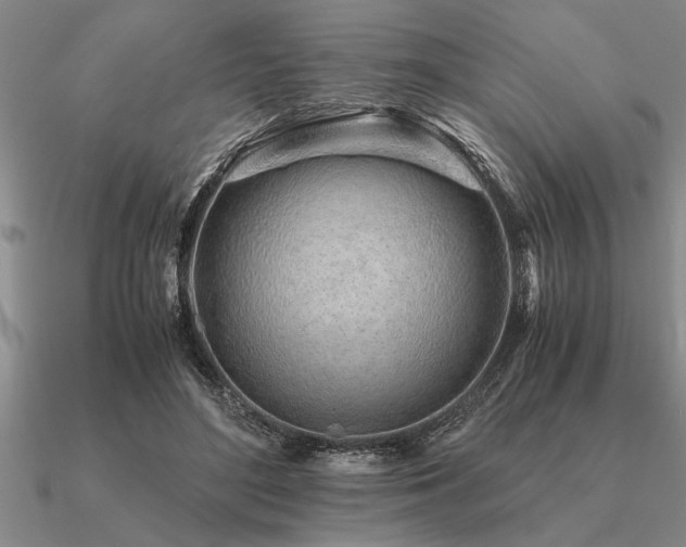 X0000091100500200708061423