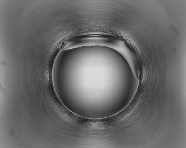 X0000091100501200708061423