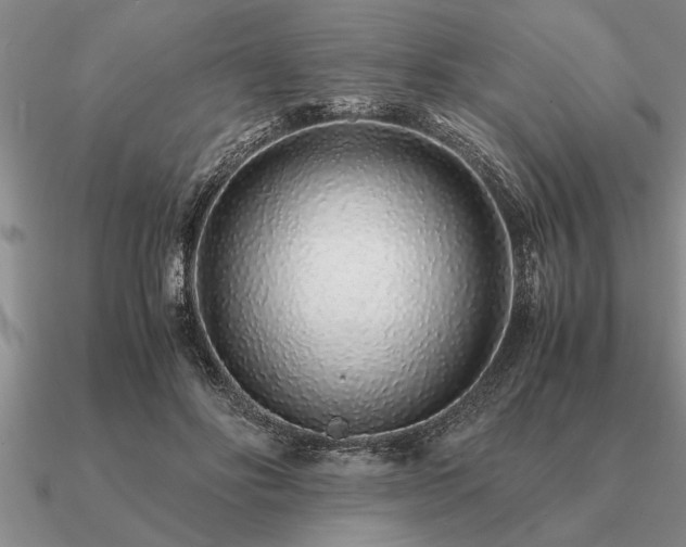 X0000091100502200708061423