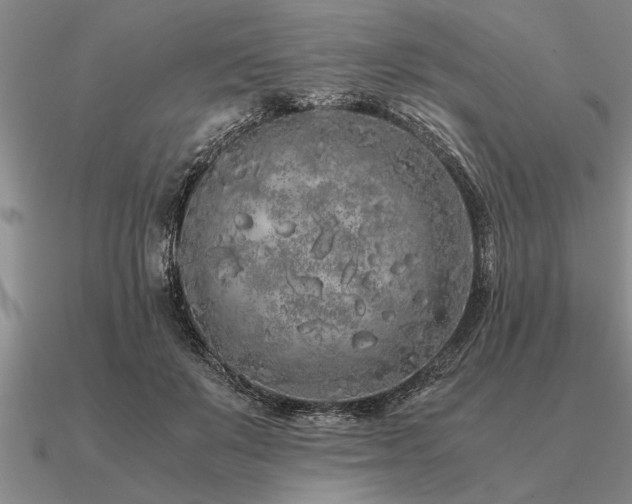 X0000091100503200708061422