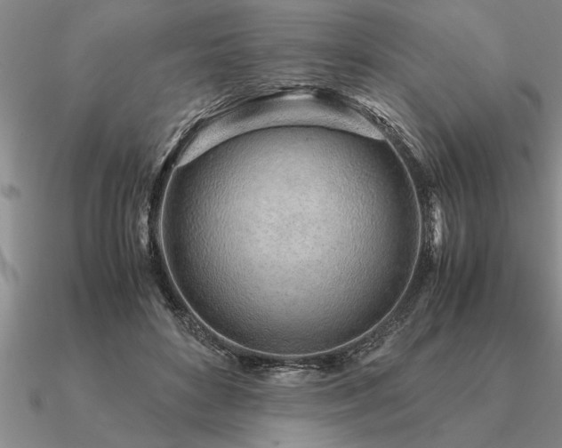 X0000091100504200708061422