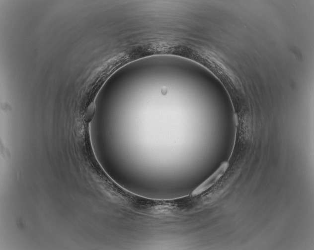 X0000091100505200708061422