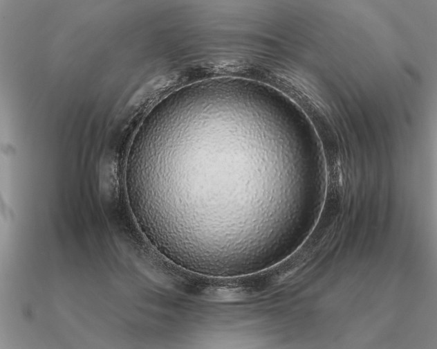 X0000091100506200708061422