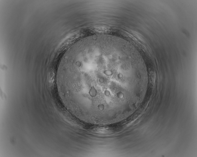 X0000091100507200708061422