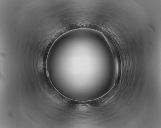 X0000091100508200708061422