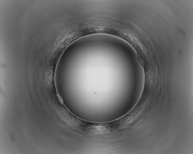 X0000091100509200708061422