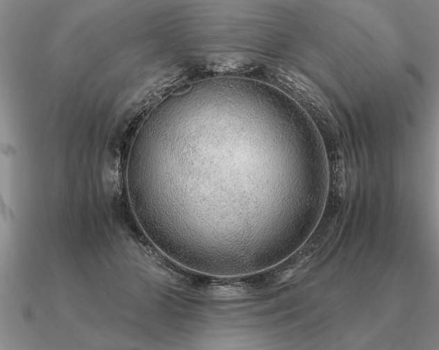 X0000091100510200708061422